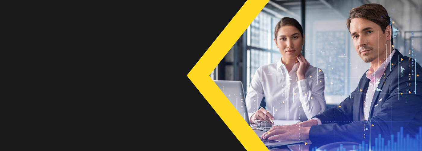 BI Consulting