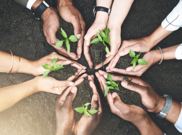 Social Initiatives